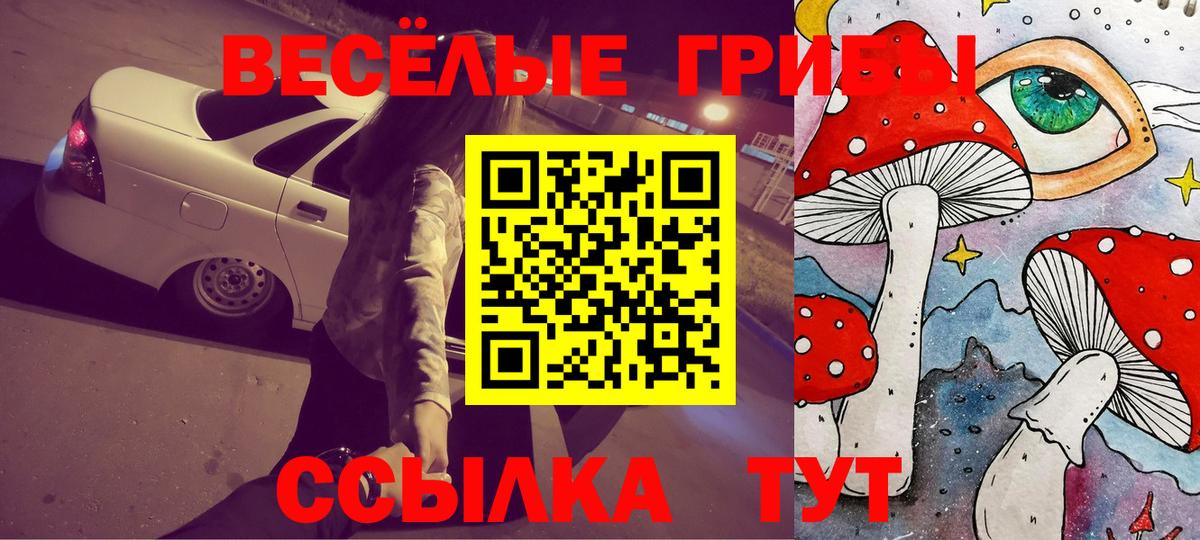 Галлюциногенные грибы Magic Shrooms  Вход с VPN  Гатчина 