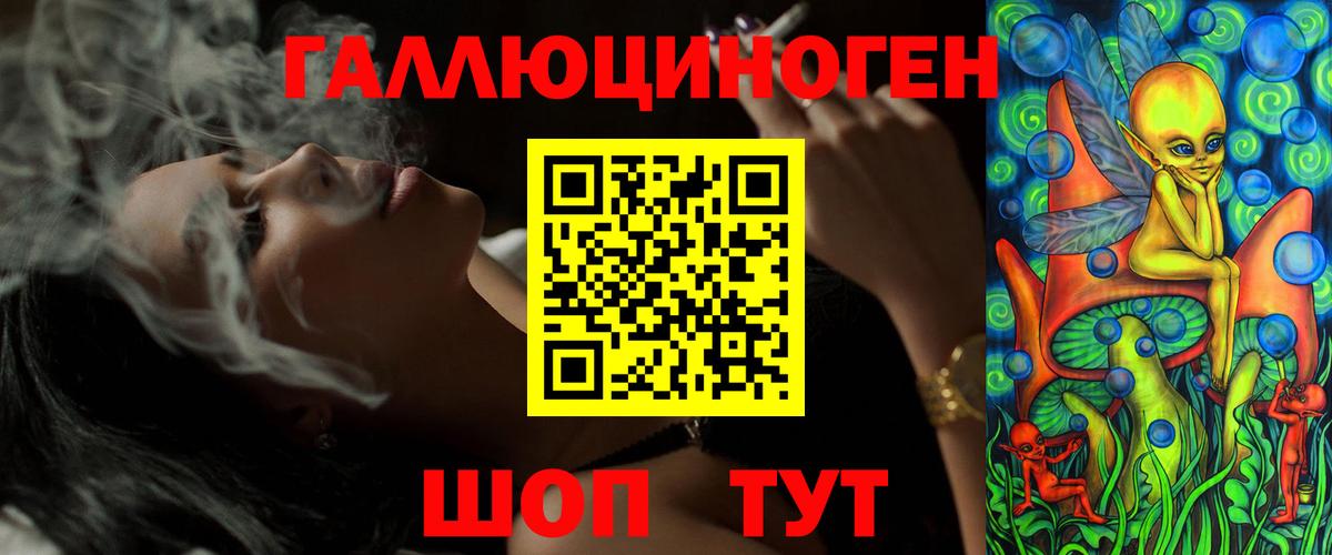Галлюциногенные грибы Psilocybe Гатчина